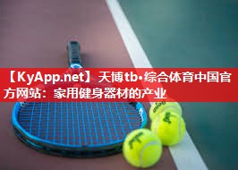 天博tb·综合体育中国官方网站：家用健身器材的产业