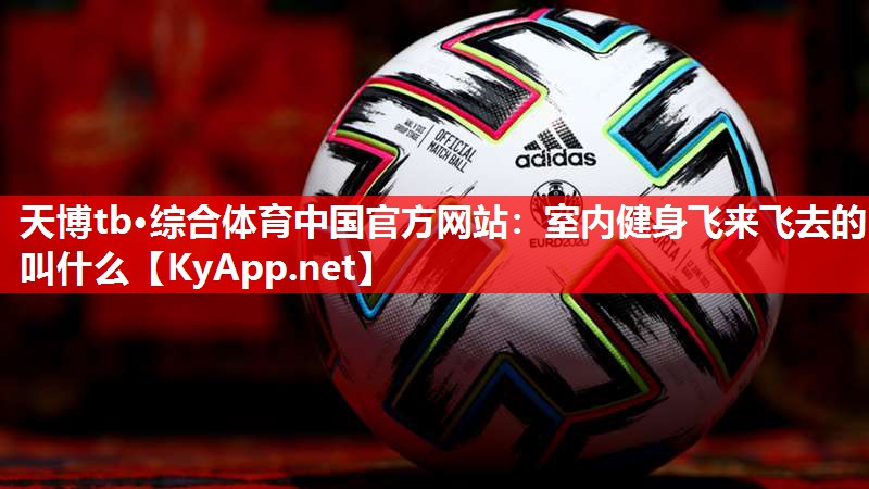 天博tb·综合体育中国官方网站：室内健身飞来飞去的叫什么