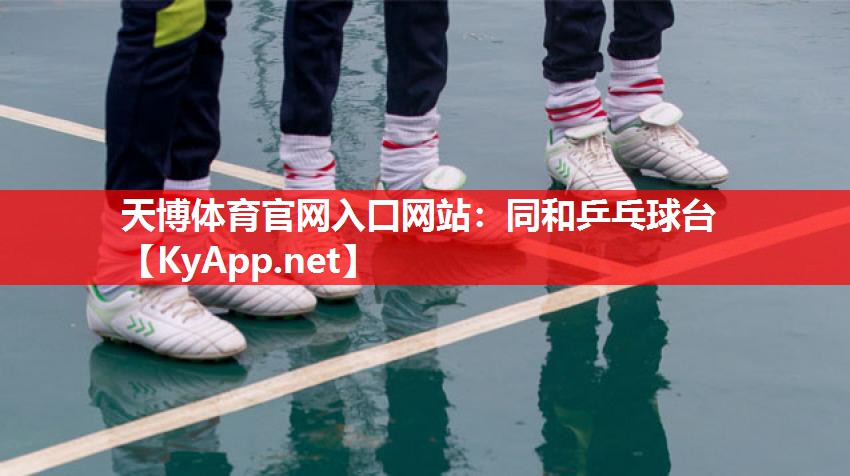 天博体育官网入口网站：同和乒乓球台