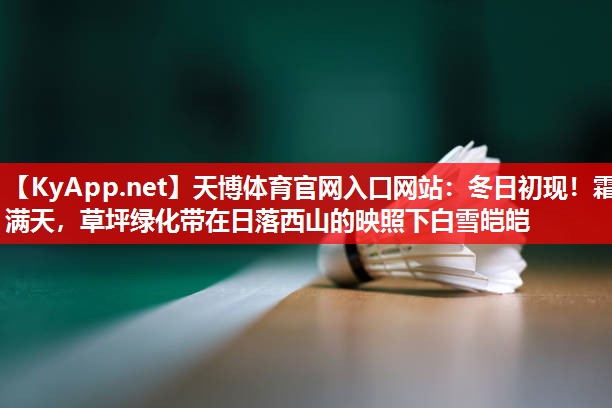天博体育官网入口网站：冬日初现！霜满天，草坪绿化带在日落西山的映照下白雪皑皑
