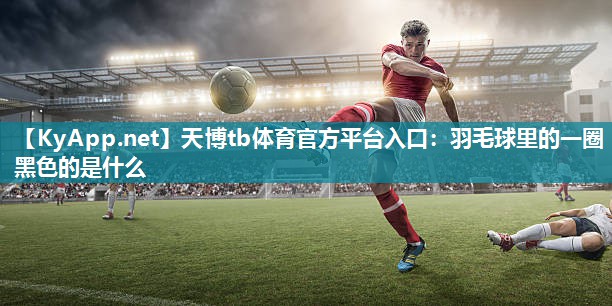 天博tb体育官方平台入口：羽毛球里的一圈黑色的是什么