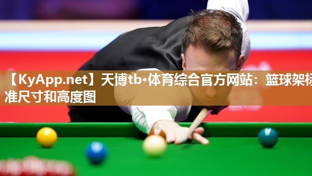 天博tb·体育综合官方网站：篮球架标准尺寸和高度图