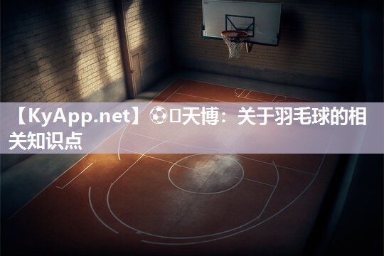 ⚽️天博：关于羽毛球的相关知识点