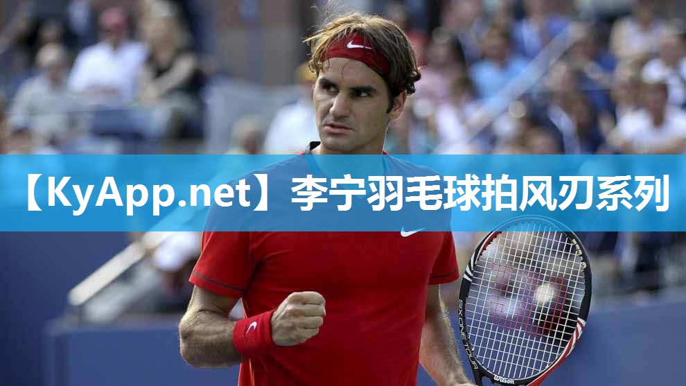 李宁羽毛球拍风刃系列