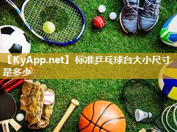 标准乒乓球台大小尺寸是多少