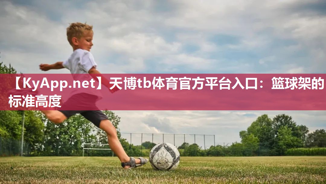 天博tb体育官方平台入口：篮球架的标准高度