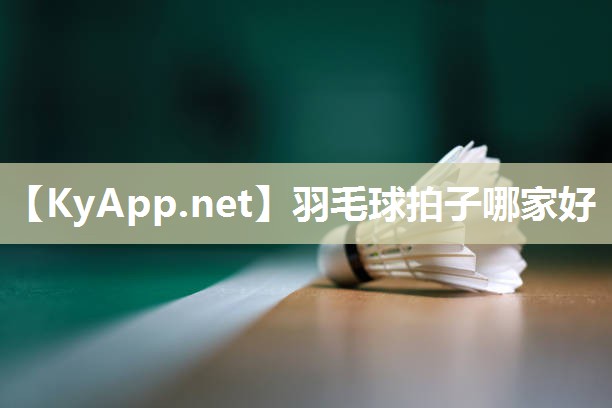 羽毛球拍子哪家好