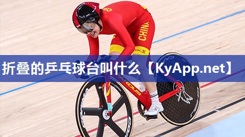 折叠的乒乓球台叫什么