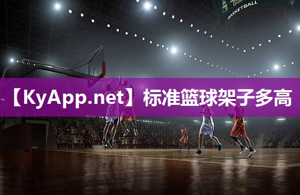 标准篮球架子多高