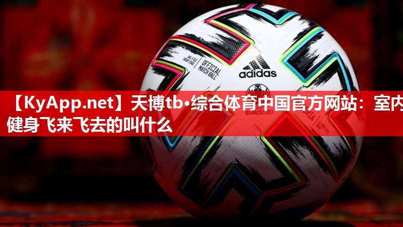室内健身飞来飞去的叫什么 室内健身飞来飞去的叫什么