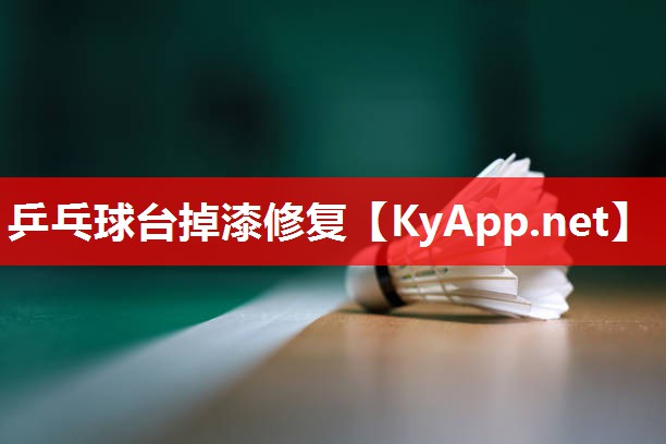 乒乓球台掉漆修复 乒乓球台掉漆修复