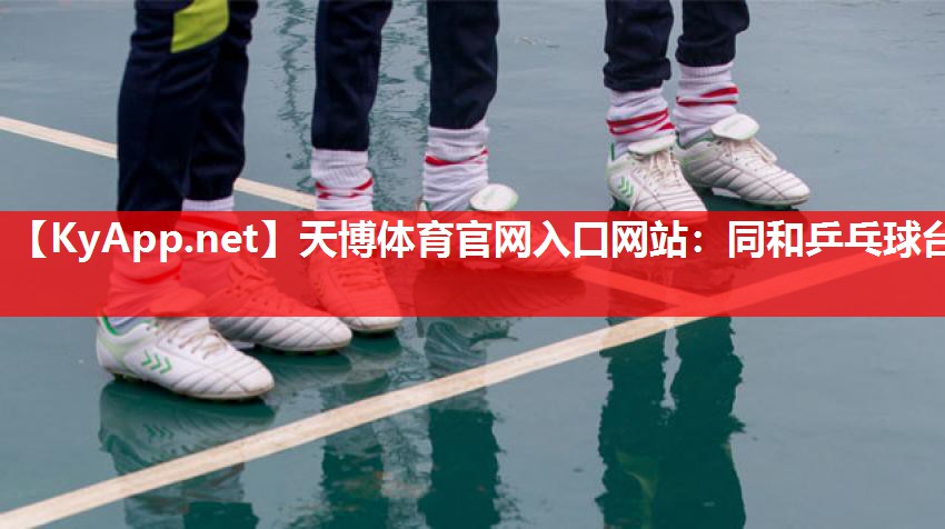同和乒乓球台 同和乒乓球台