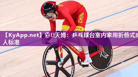 乒乓球台室内家用折叠式成人标准