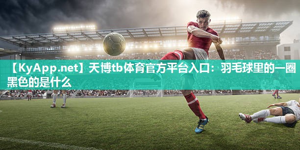羽毛球里的一圈黑色的是什么