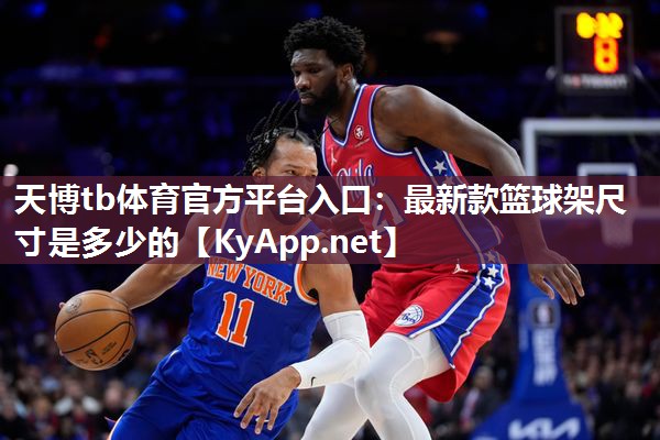 最新款篮球架尺寸是多少的 最新款篮球架尺寸是多少的