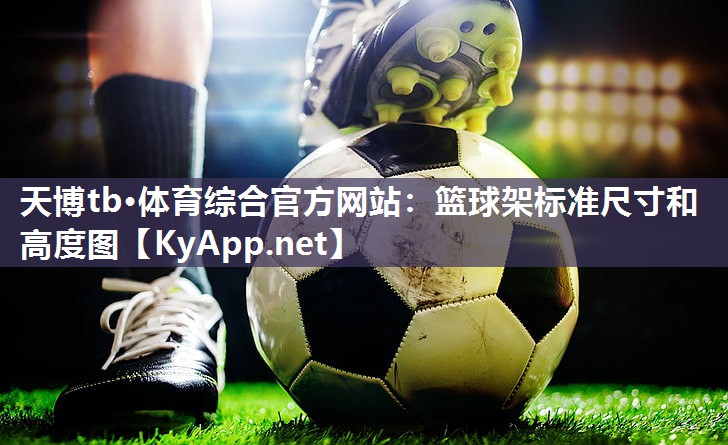 篮球架标准尺寸和高度图 篮球架标准尺寸和高度图