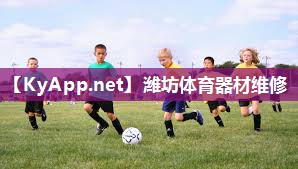 潍坊体育器材维修 潍坊体育器材维修