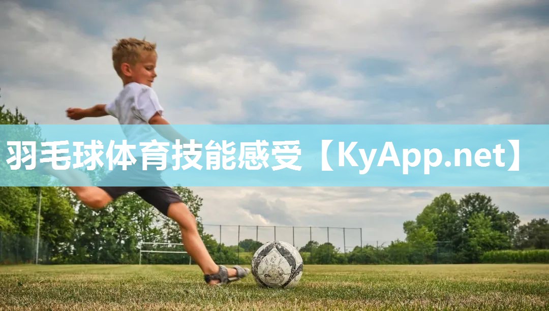 羽毛球体育技能感受 羽毛球体育技能感受