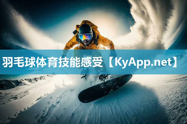 羽毛球体育技能感受 羽毛球体育技能感受