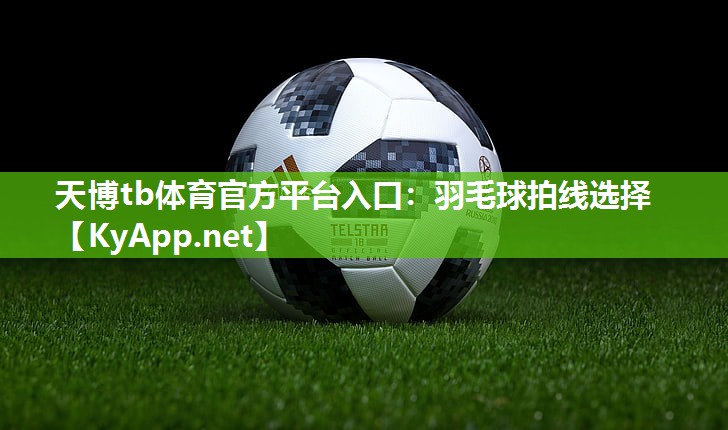 羽毛球拍线选择 羽毛球拍线选择