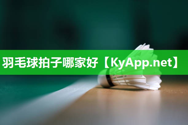 羽毛球拍子哪家好 羽毛球拍子哪家好