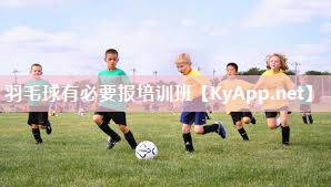 羽毛球有必要报培训班 羽毛球有必要报培训班