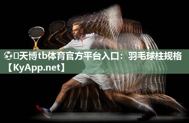羽毛球柱规格 羽毛球柱规格