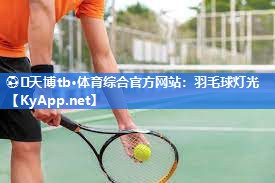 羽毛球灯光 羽毛球灯光