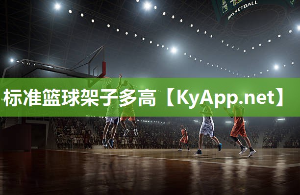 标准篮球架子多高