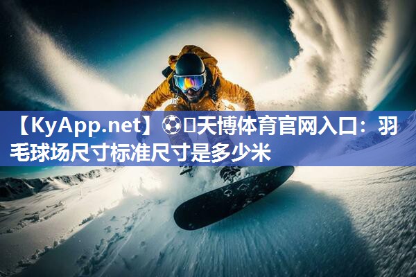 羽毛球场尺寸标准尺寸是多少米 羽毛球场尺寸标准尺寸是多少米